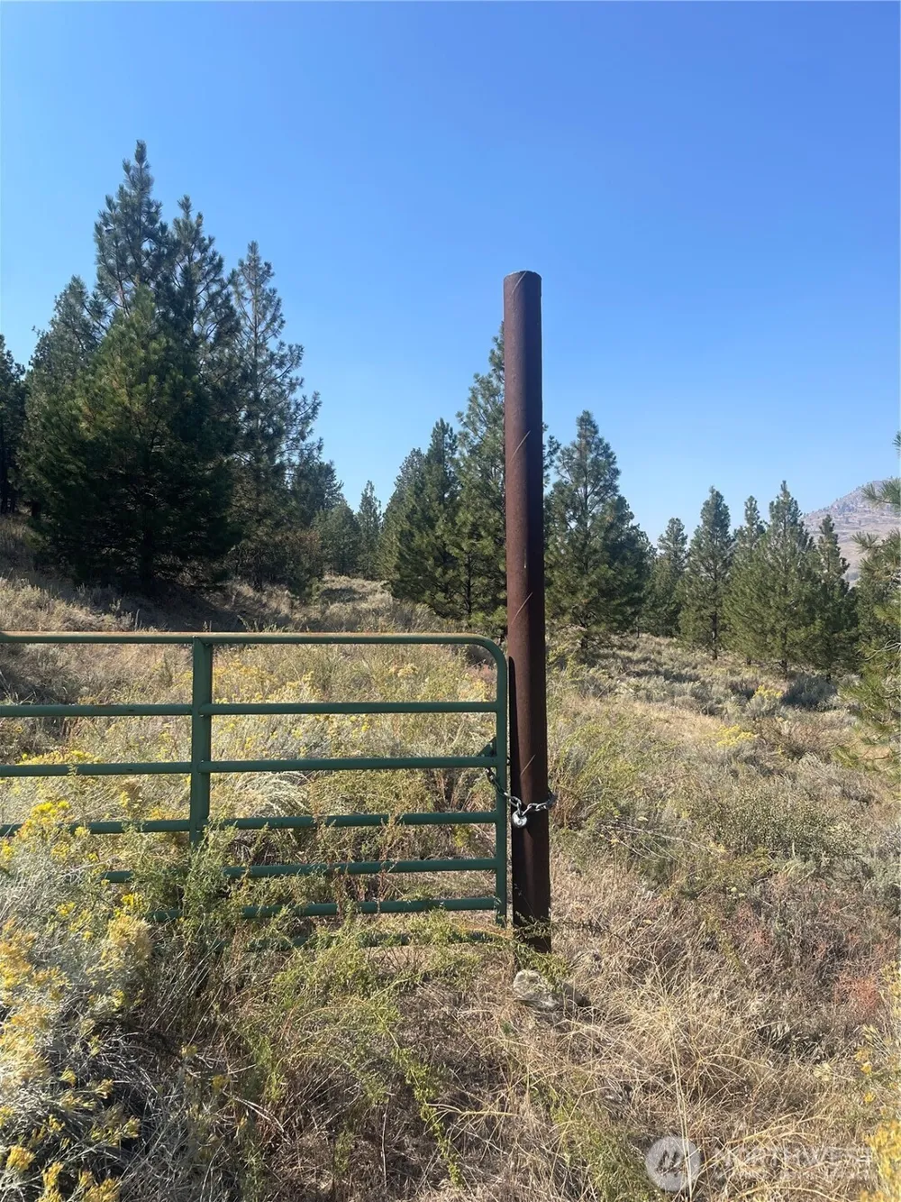 0 TBD Reevas Basin Road Tonasket, WA 98855