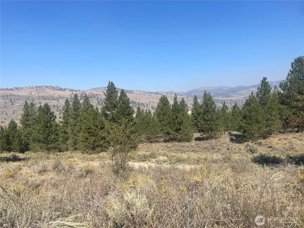 0 TBD Reevas Basin Road Tonasket, WA 98855