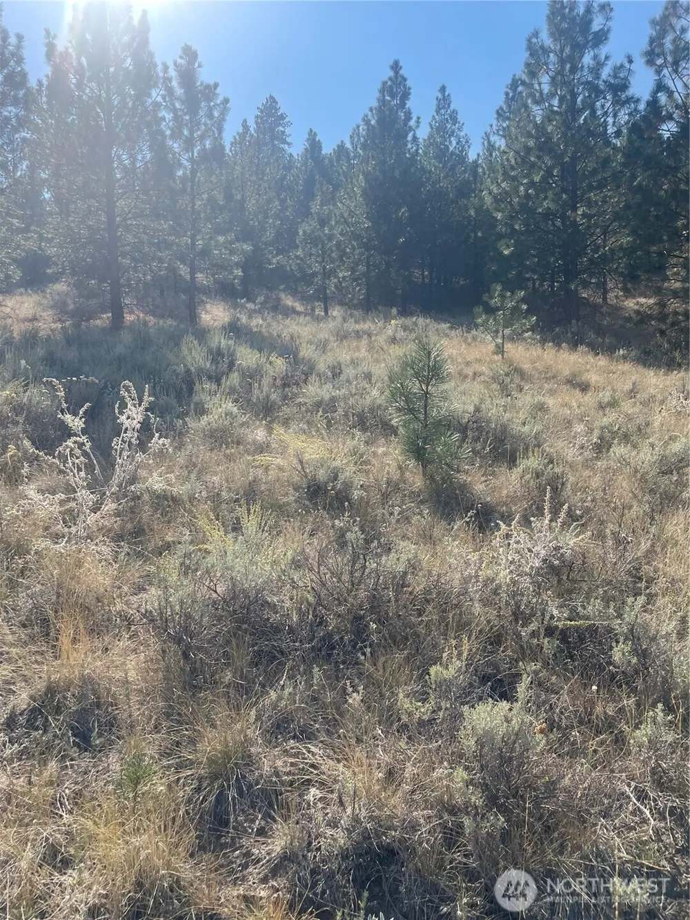 0 TBD Reevas Basin Road Tonasket, WA 98855
