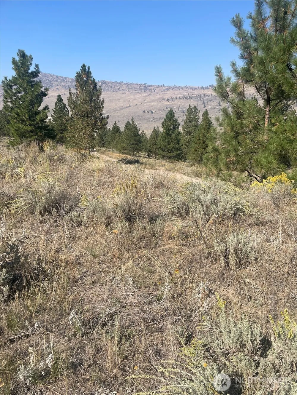 0 TBD Reevas Basin Road Tonasket, WA 98855