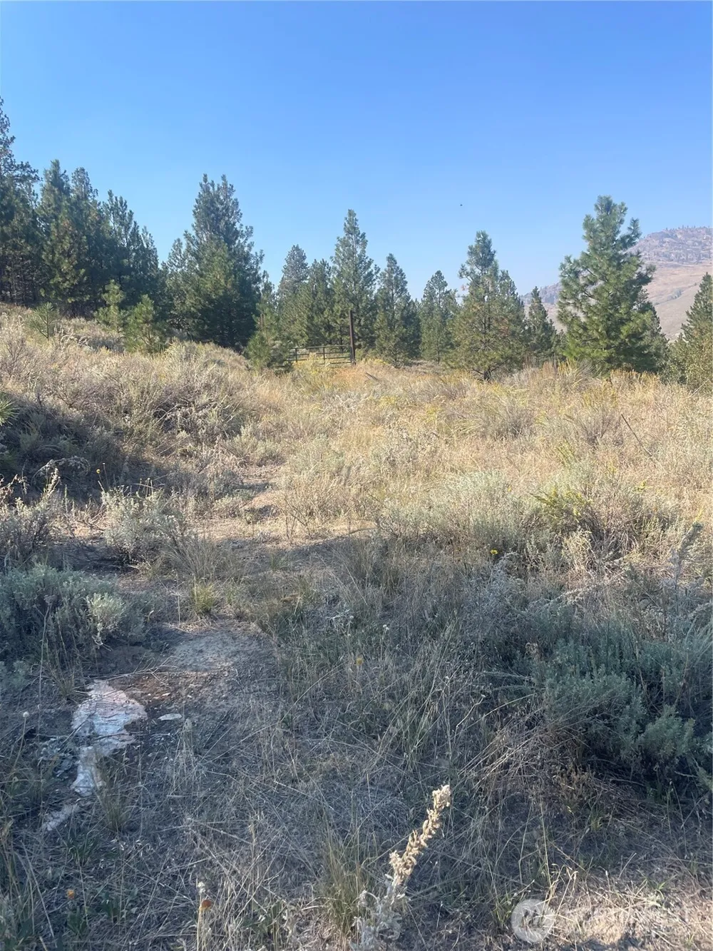 0 TBD Reevas Basin Road Tonasket, WA 98855
