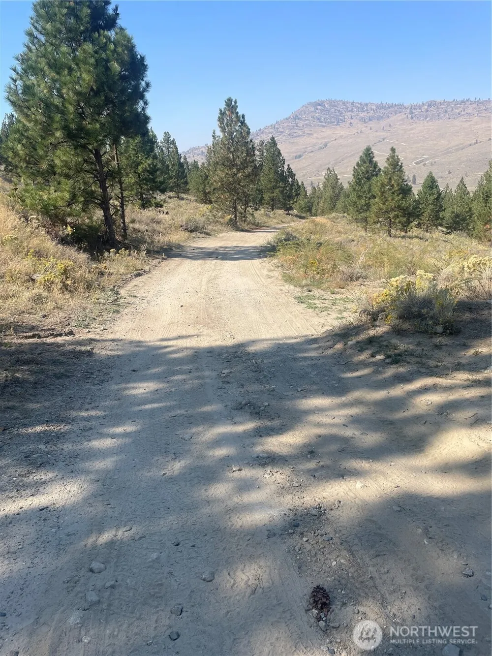 0 TBD Reevas Basin Road Tonasket, WA 98855