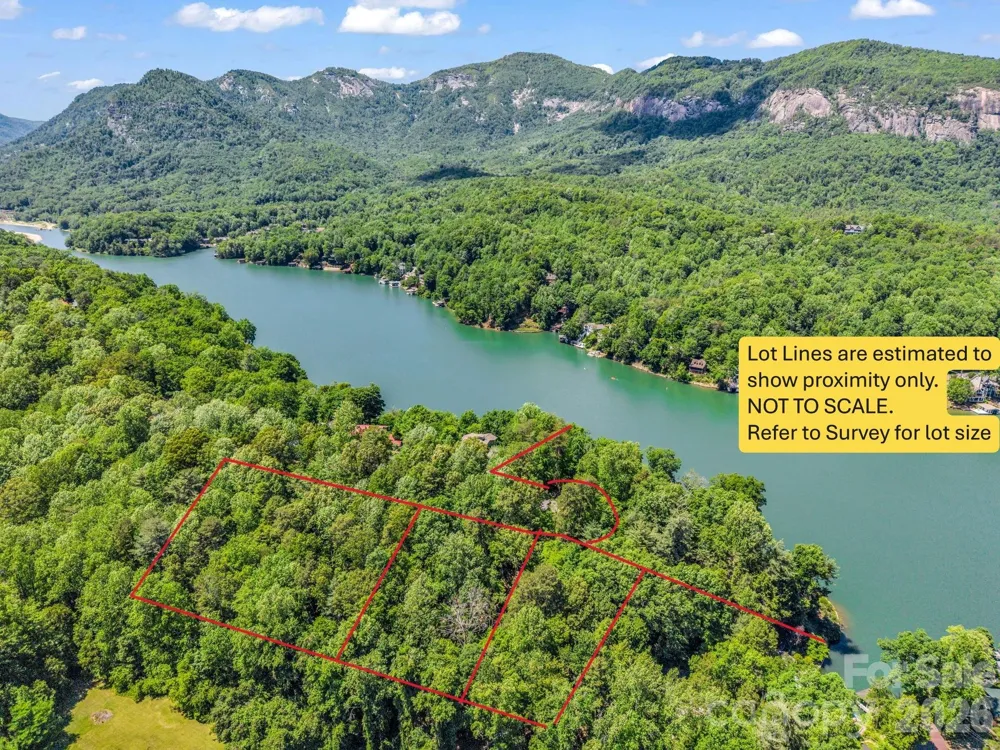 0000 E ABBOTT ROAD E Lake Lure, NC 28746