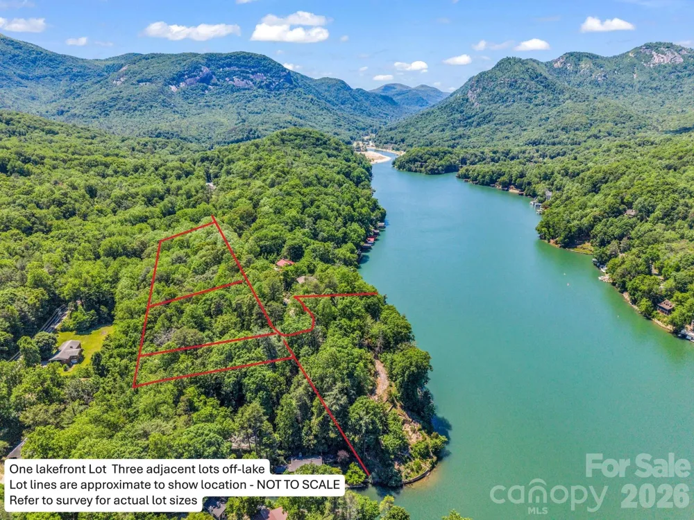 0000 E ABBOTT ROAD E Lake Lure, NC 28746