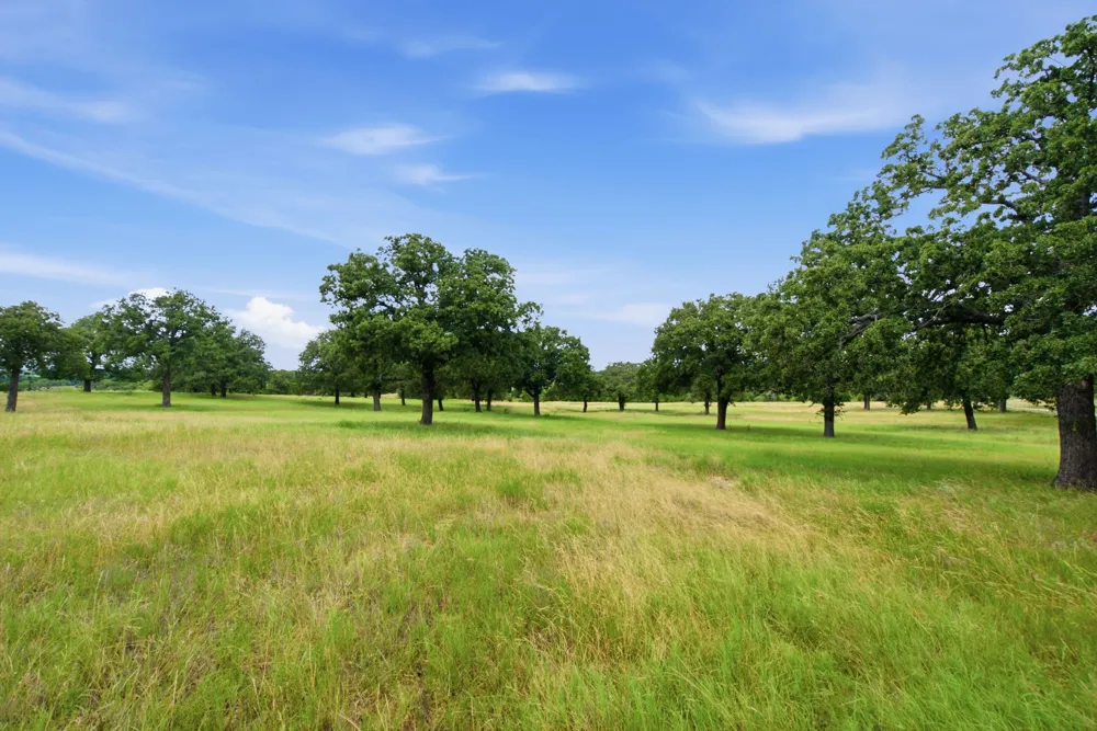 7900 Highway 6 De Leon, TX 76444
