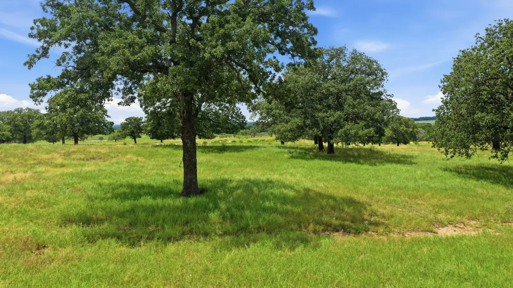7900 Highway 6 De Leon, TX 76444