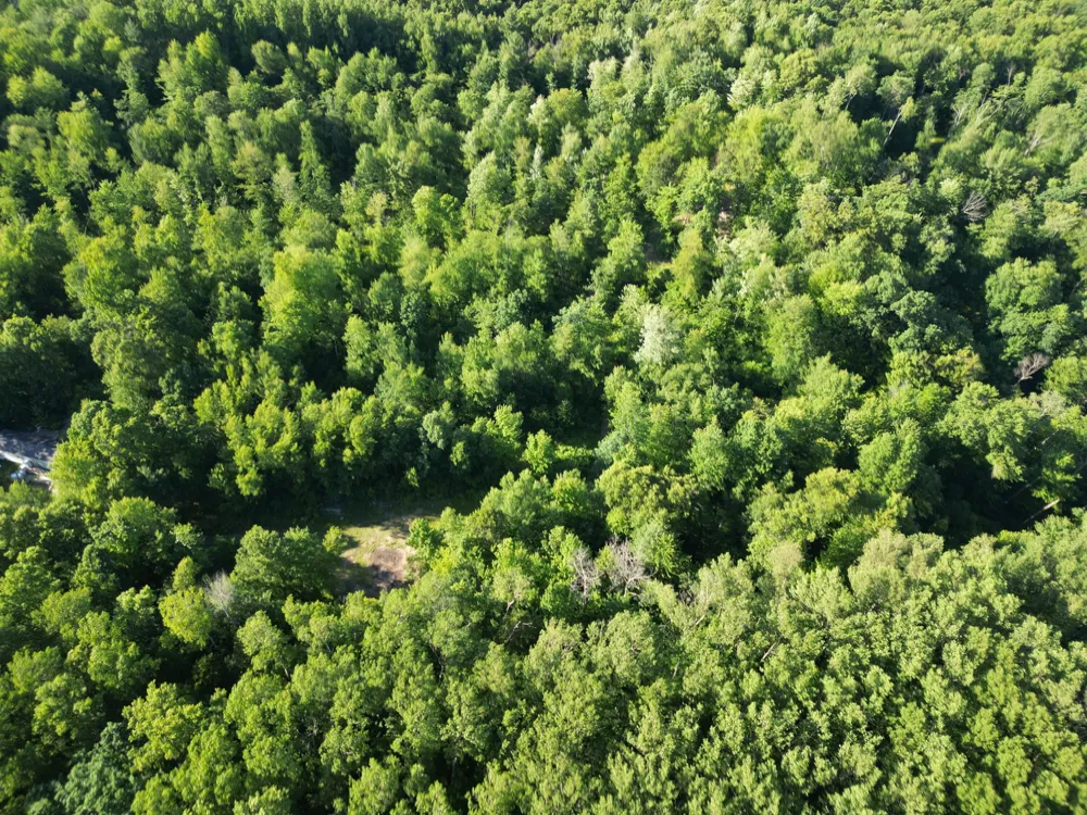 5170 Rocky Top Parcel B Lane Pierson, MI 49339