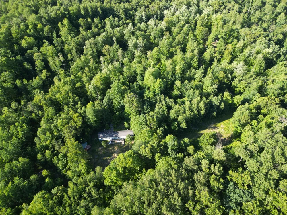 5170 Rocky Top Parcel B Lane Pierson, MI 49339