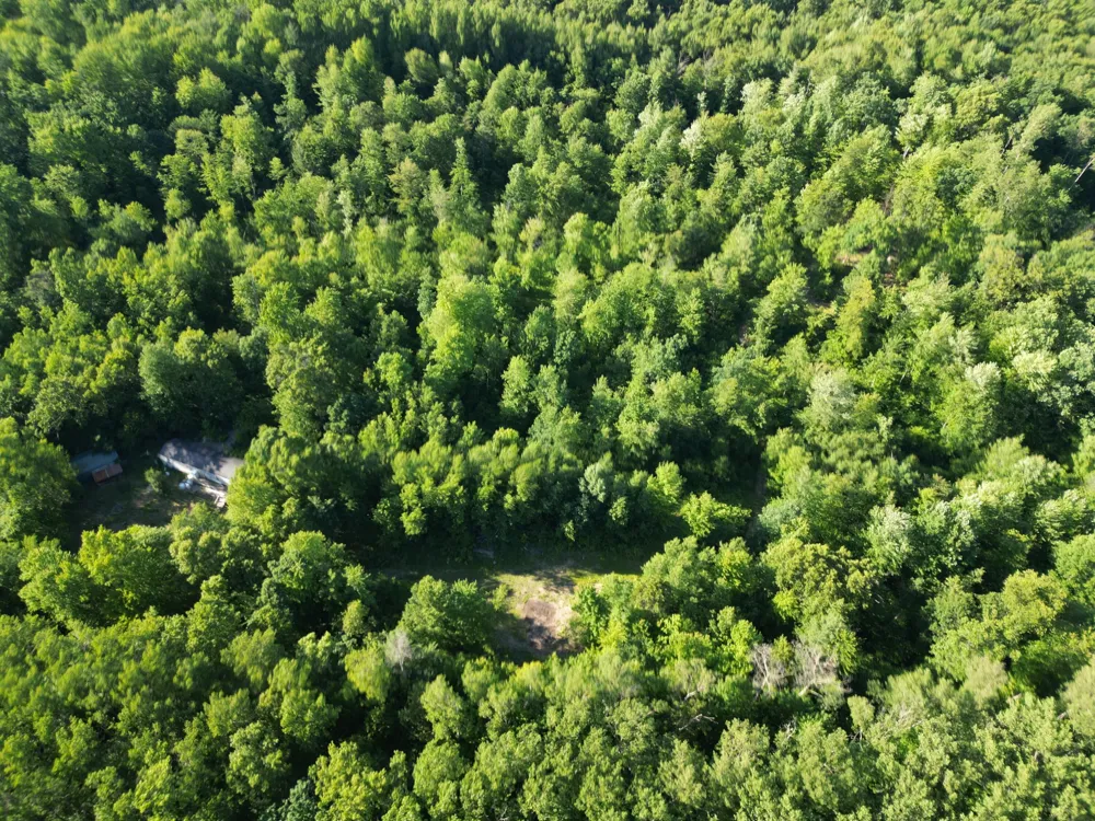 5170 Rocky Top Parcel B Lane Pierson, MI 49339