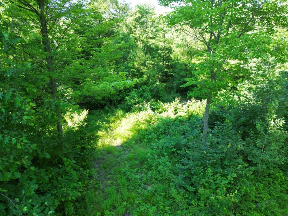 5170 Rocky Top Parcel B Lane Pierson, MI 49339