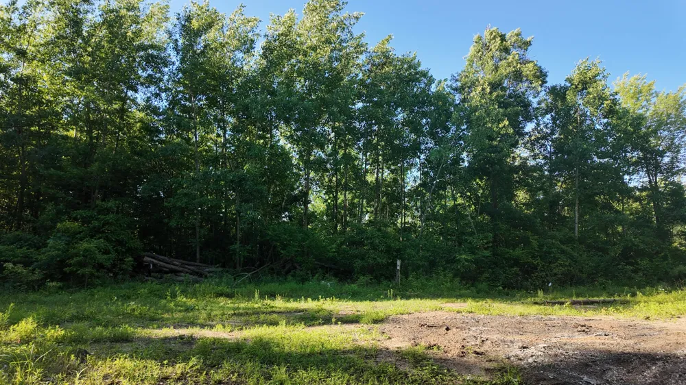 5170 Rocky Top Parcel B Lane Pierson, MI 49339