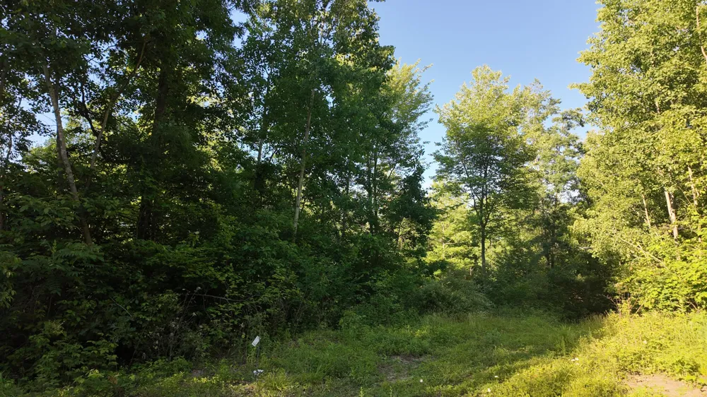 5170 Rocky Top Parcel B Lane Pierson, MI 49339