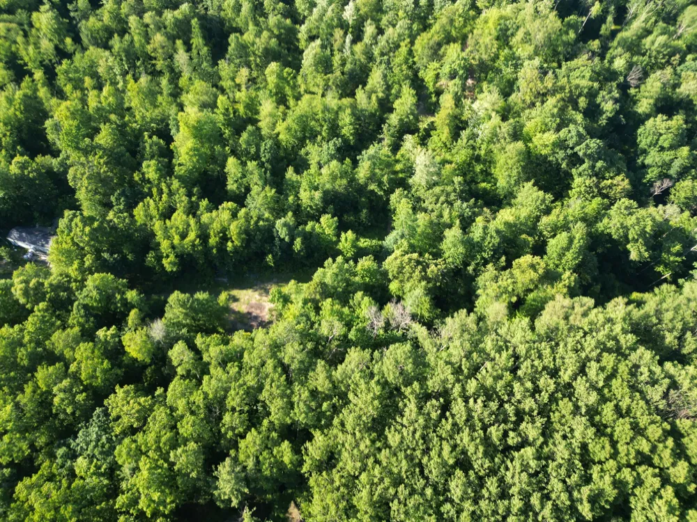 5170 Rocky Top Parcel C Lane Pierson, MI 49339