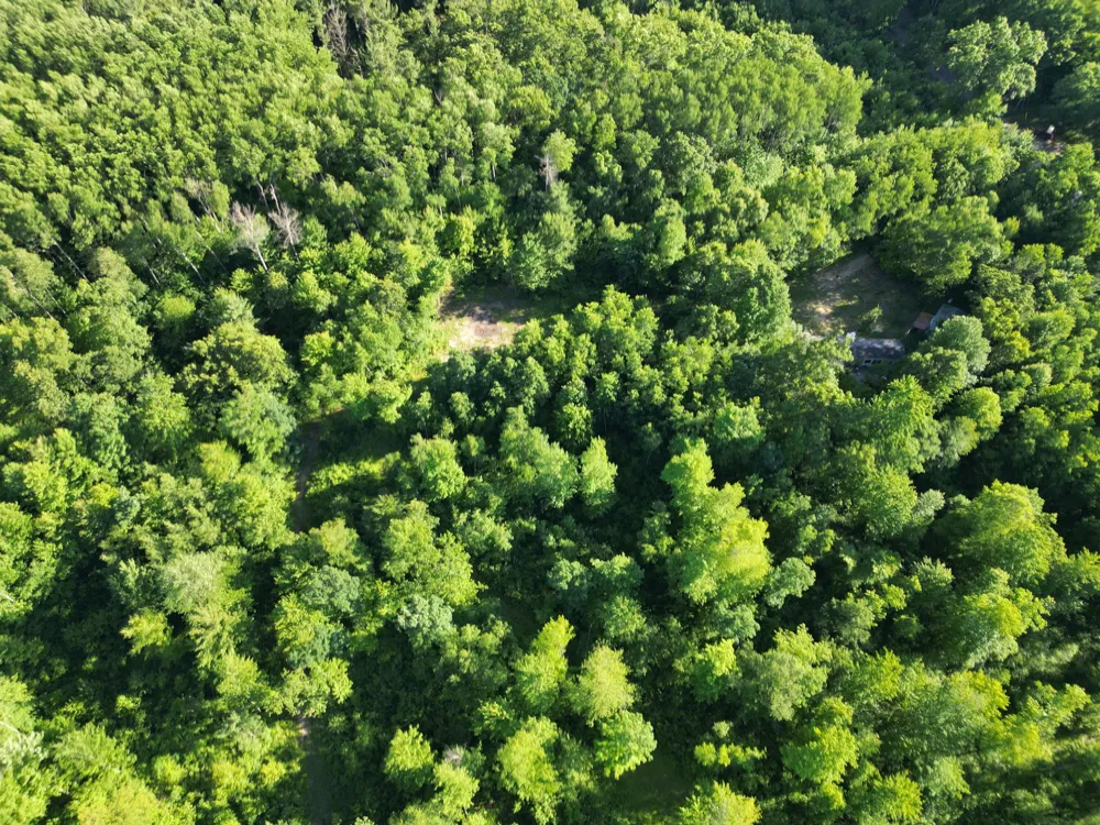 5170 Rocky Top Parcel C Lane Pierson, MI 49339