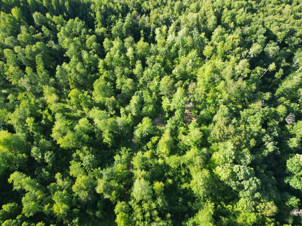5170 Rocky Top Parcel C Lane Pierson, MI 49339