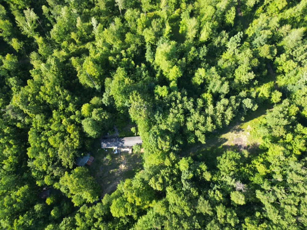 5170 Rocky Top Parcel C Lane Pierson, MI 49339