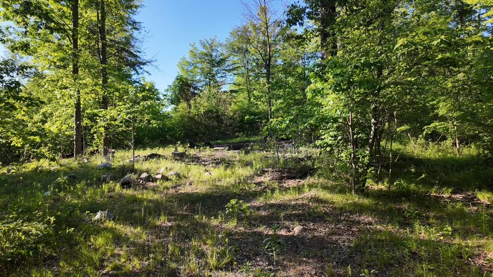 5170 Rocky Top Parcel C Lane Pierson, MI 49339