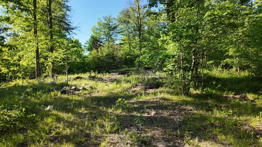 5170 Rocky Top Parcel C Lane Pierson, MI 49339