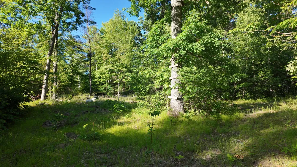 5170 Rocky Top Parcel C Lane Pierson, MI 49339