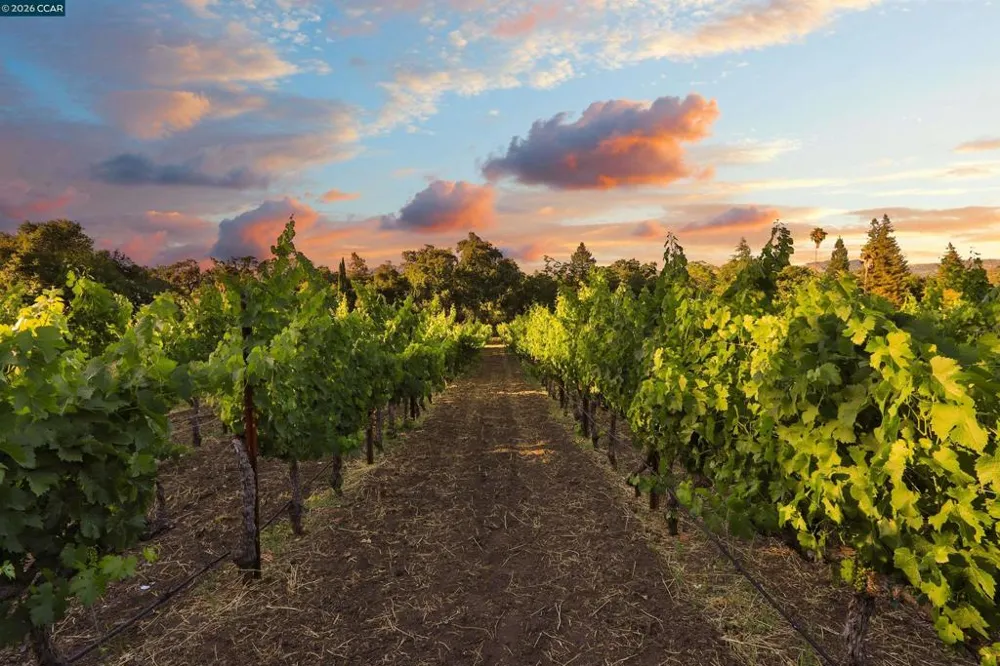 100 Foothill Blvd Calistoga, CA 94515