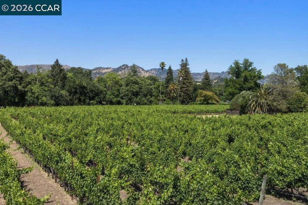 100 Foothill Blvd Calistoga, CA 94515