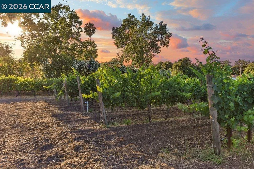 100 Foothill Blvd Calistoga, CA 94515