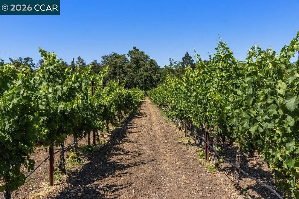 100 Foothill Blvd Calistoga, CA 94515