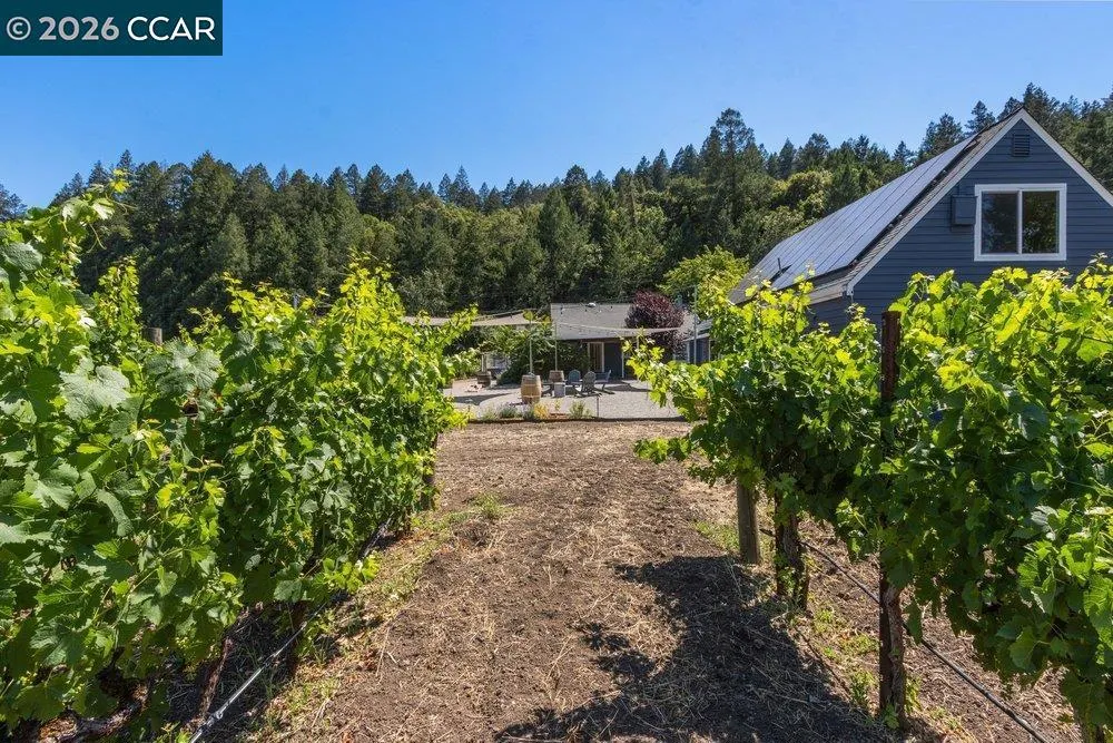 100 Foothill Blvd Calistoga, CA 94515