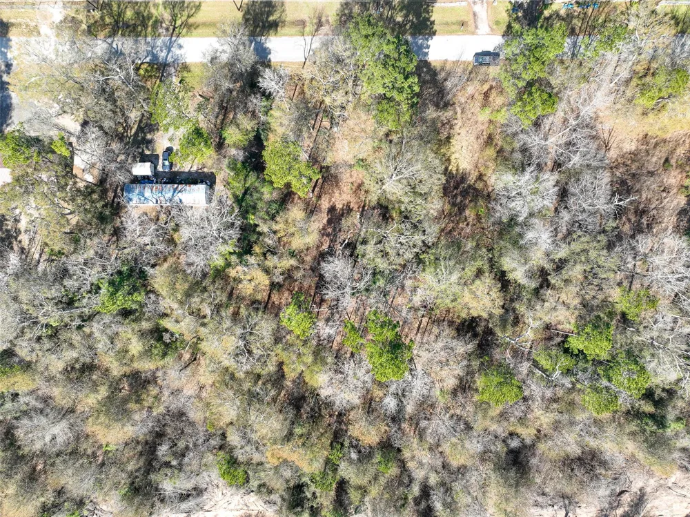 Carol Lane Splendora, TX 77372