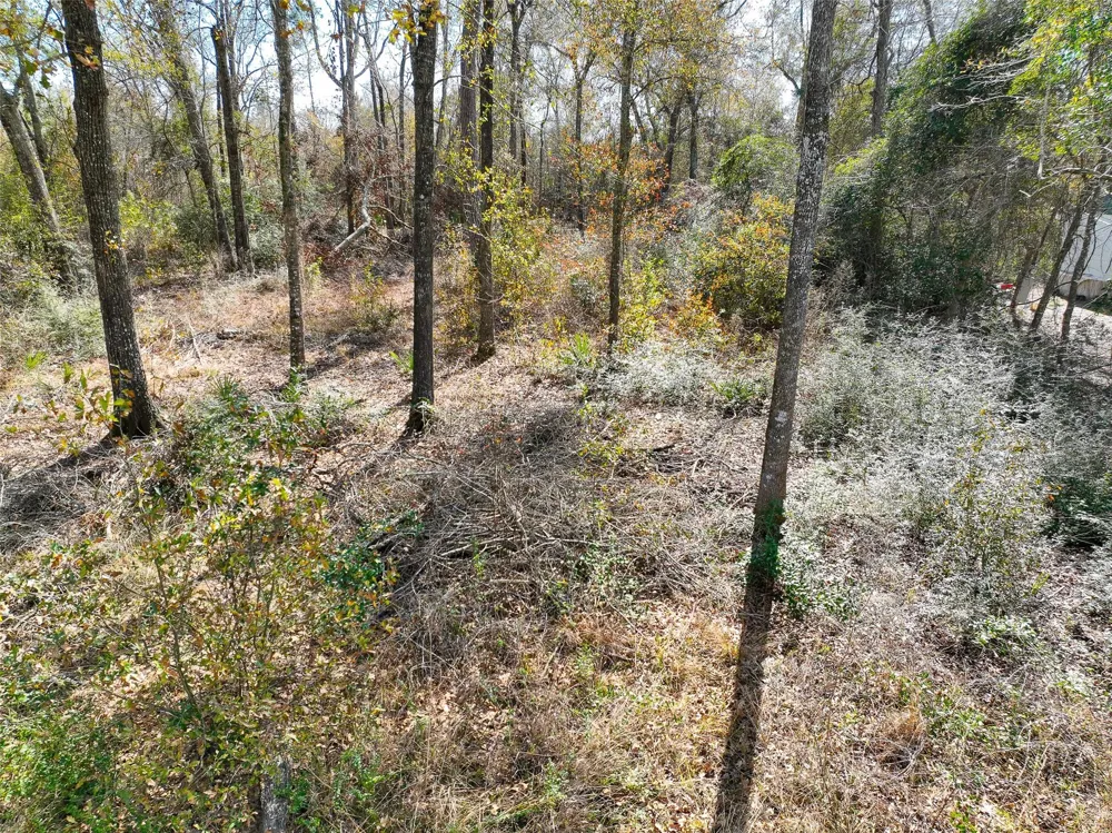 Carol Lane Splendora, TX 77372
