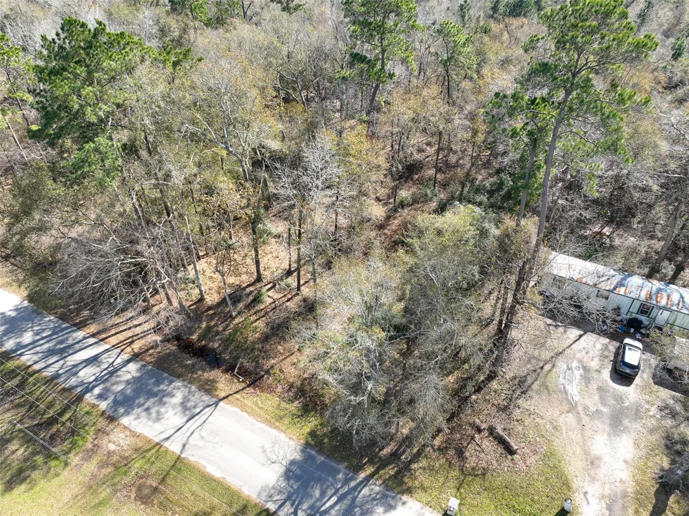 Carol Lane Splendora, TX 77372