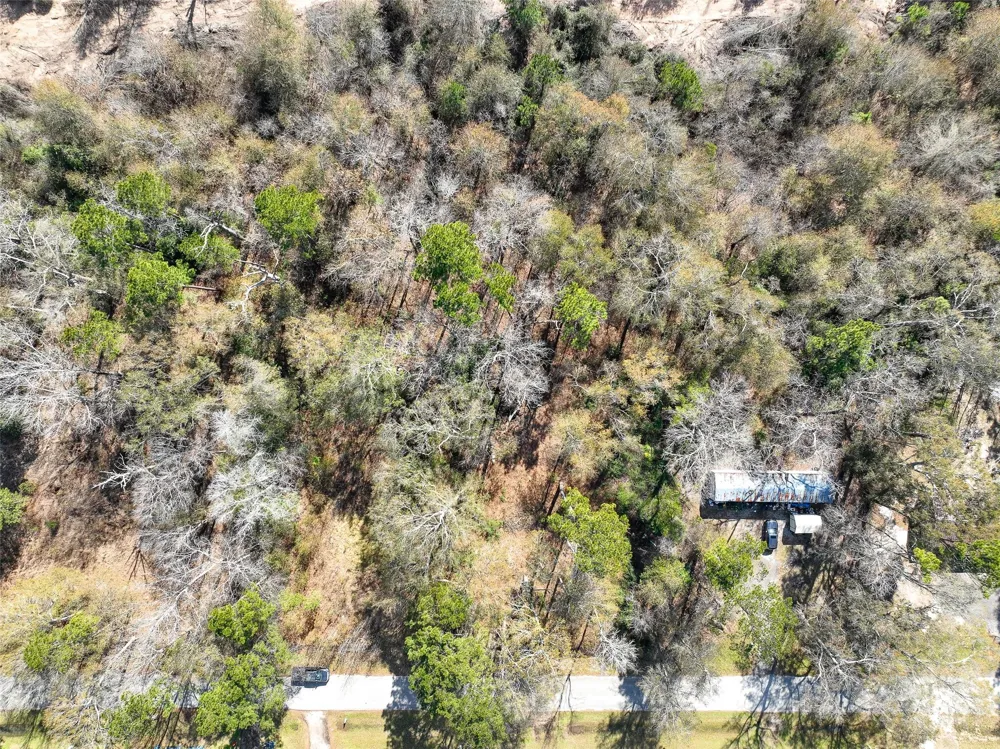 Carol Lane Splendora, TX 77372