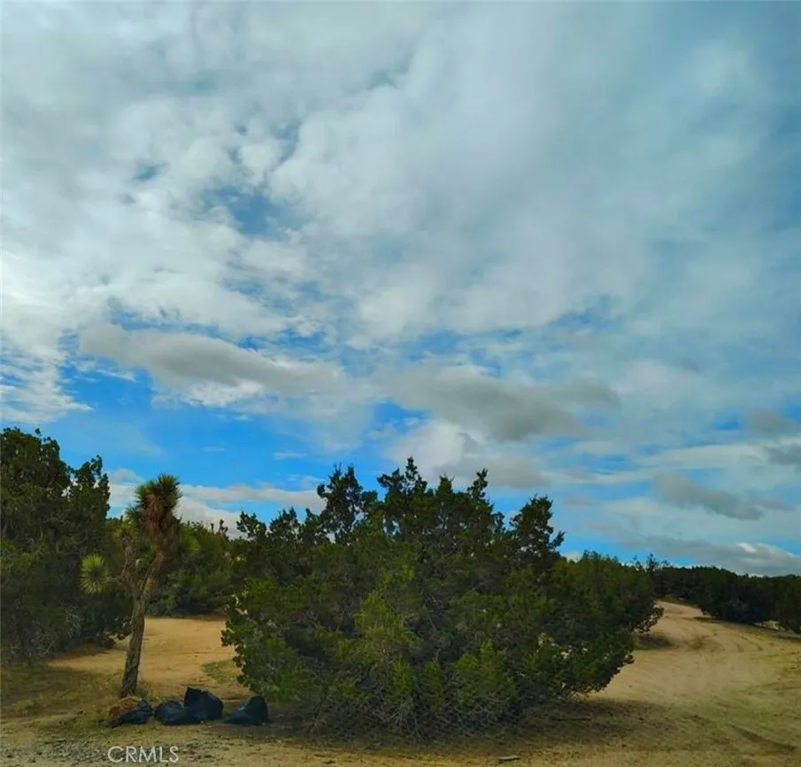 Oxford Hesperia, CA 92345