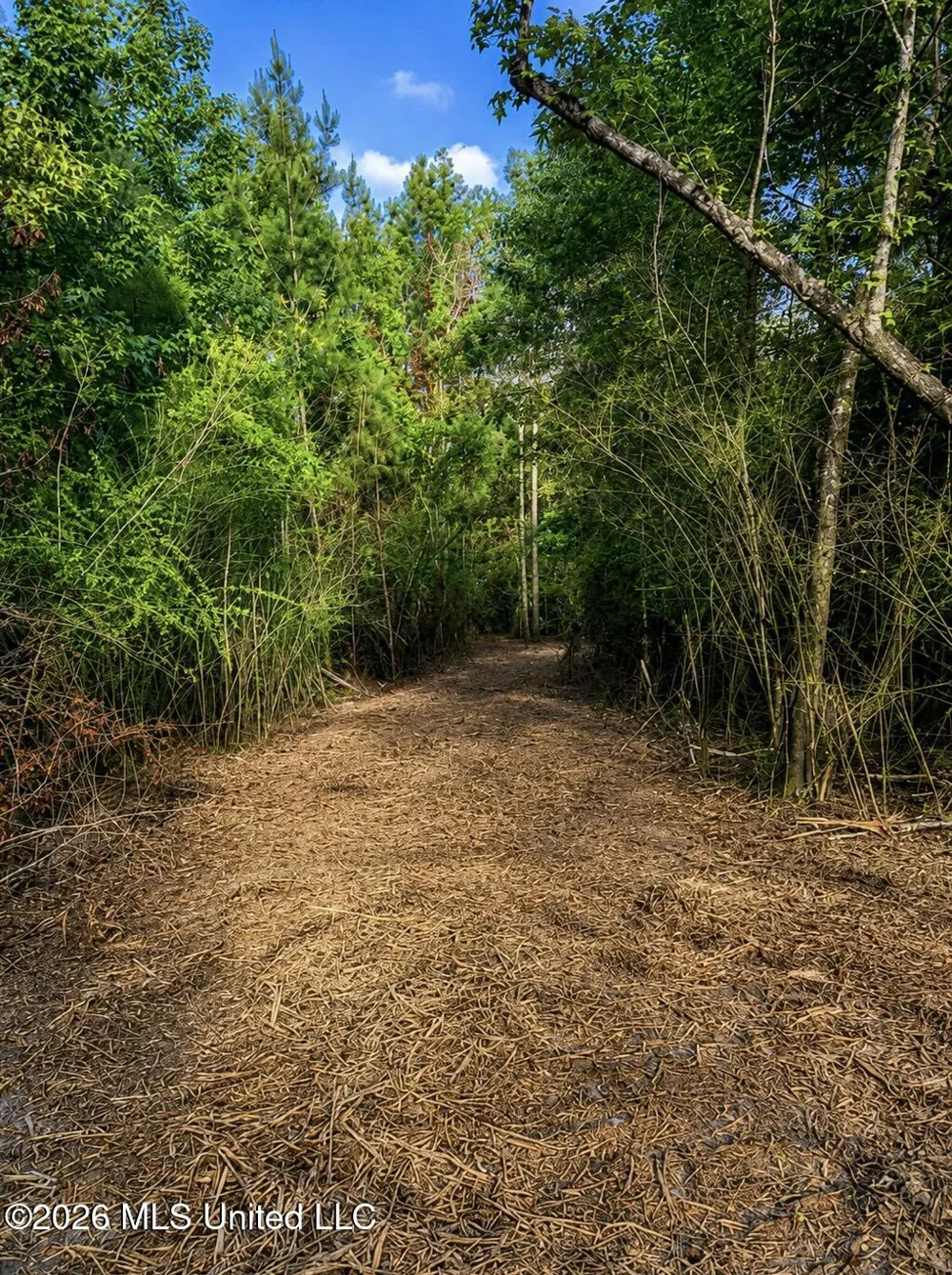 8847 County Road 77 Mize, MS 39116