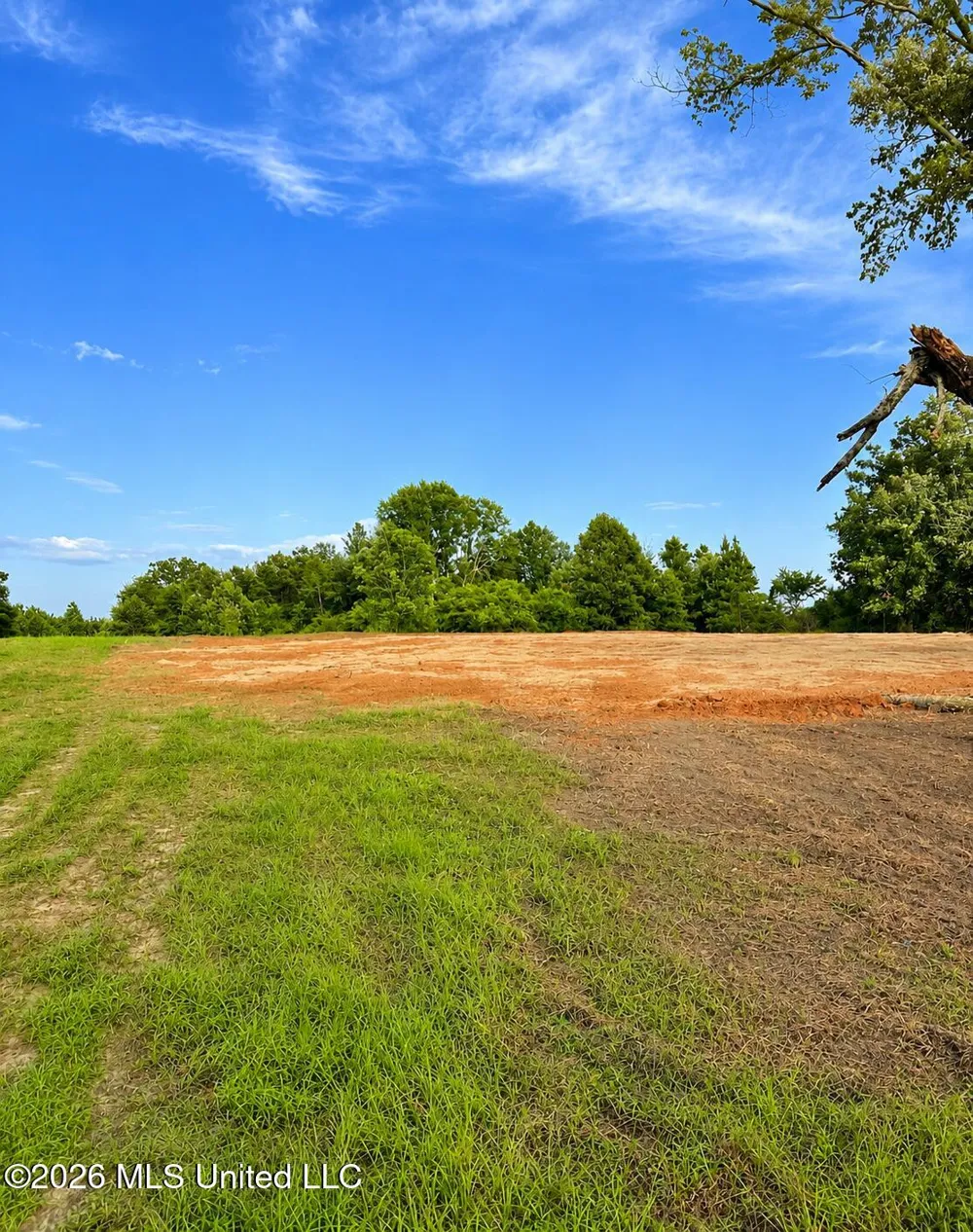 8847 County Road 77 Mize, MS 39116