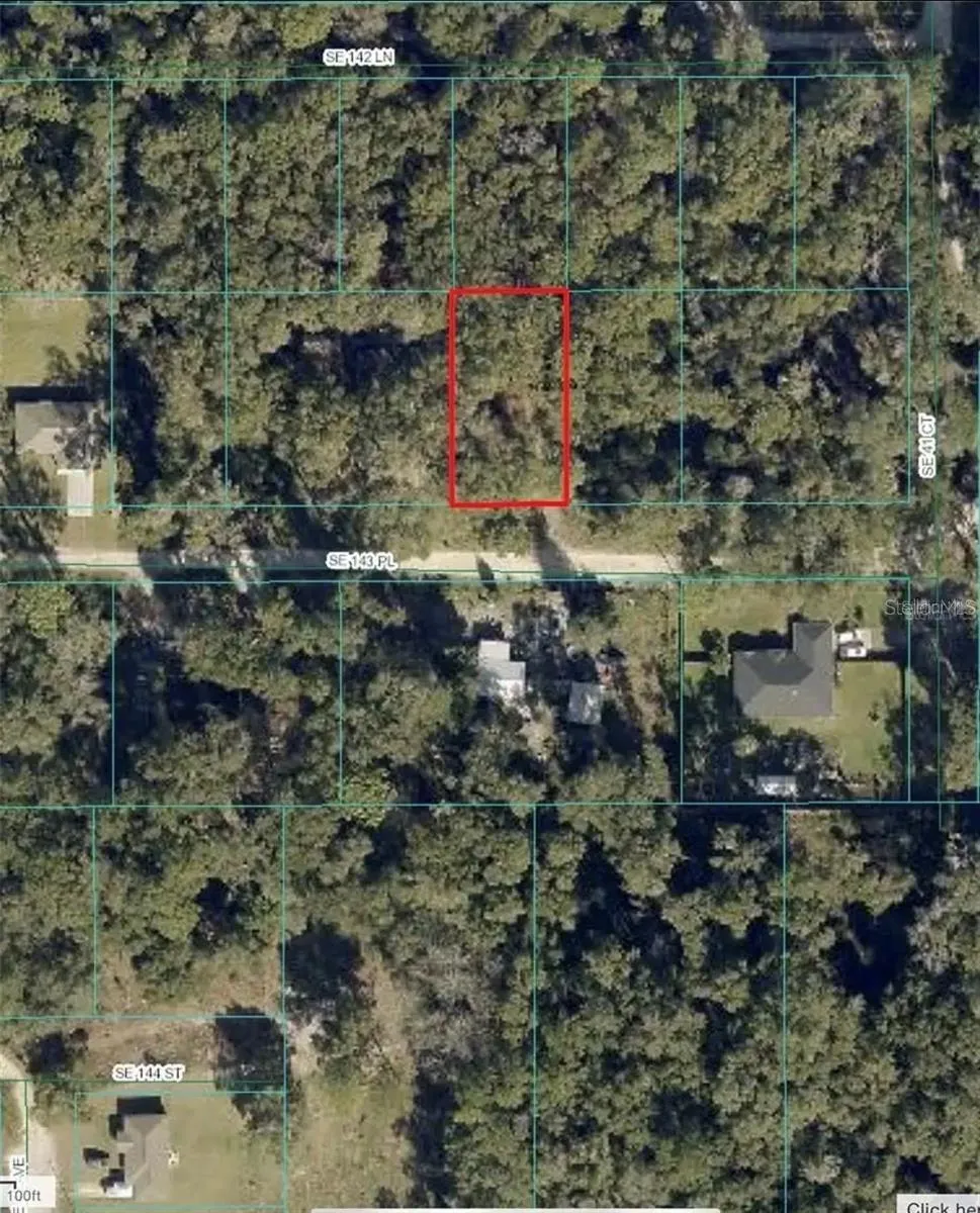 UNDETERMINED Summerfield, FL 34491