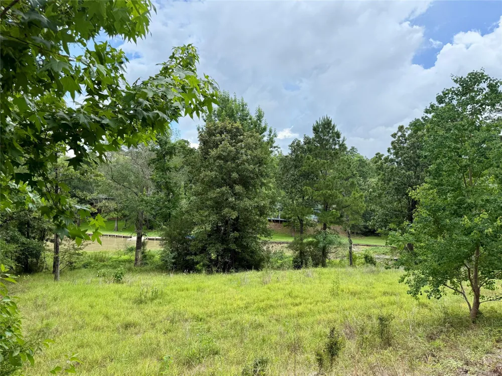 144 Lori Lane Trinity, TX 75862