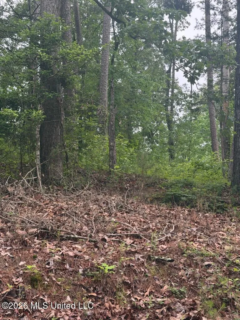 Shurden Owen Drive Gore Springs, MS 38929