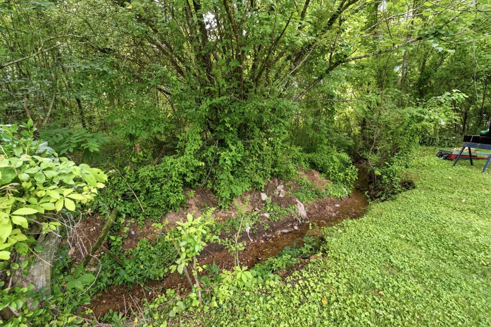 226 N Pine St Hohenwald, TN 38462