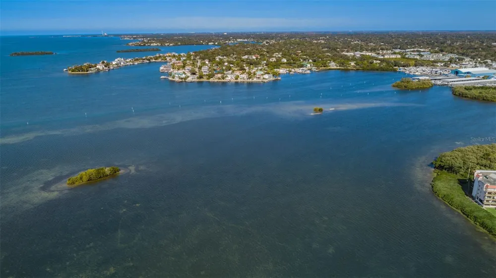 2700 BAYSHORE BOULEVARD #525 Dunedin, FL 34698