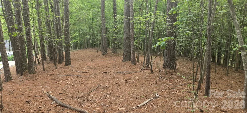 154 Oak Point Lane #3 Stony Point, NC 28678