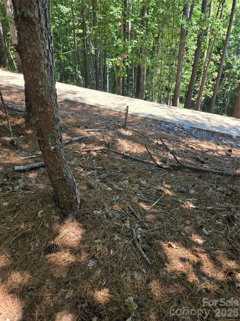 154 Oak Point Lane #3 Stony Point, NC 28678