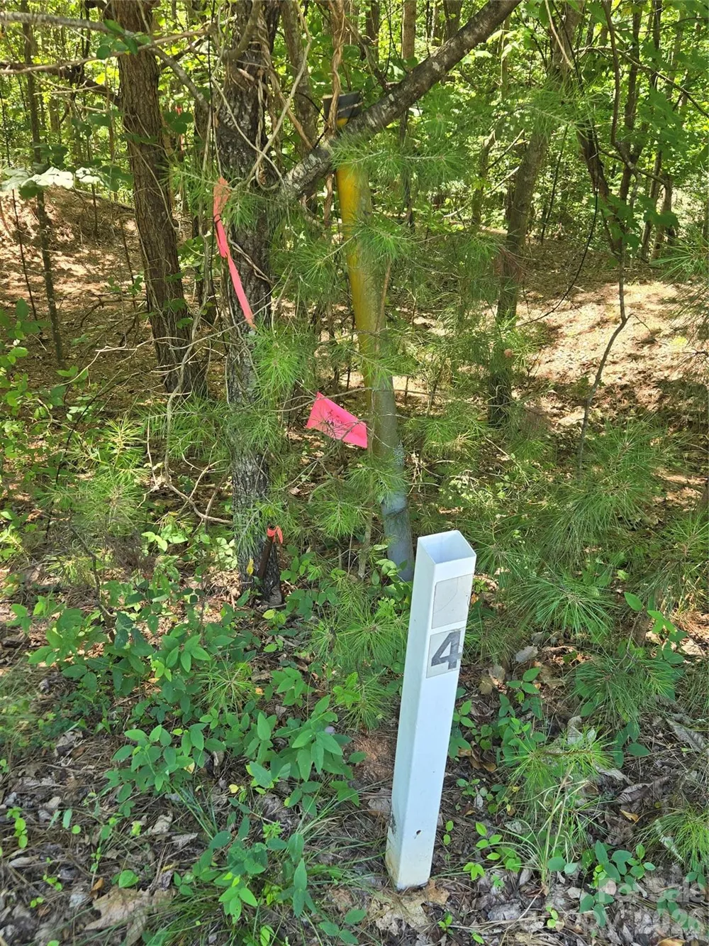 154 Oak Point Lane #3 Stony Point, NC 28678