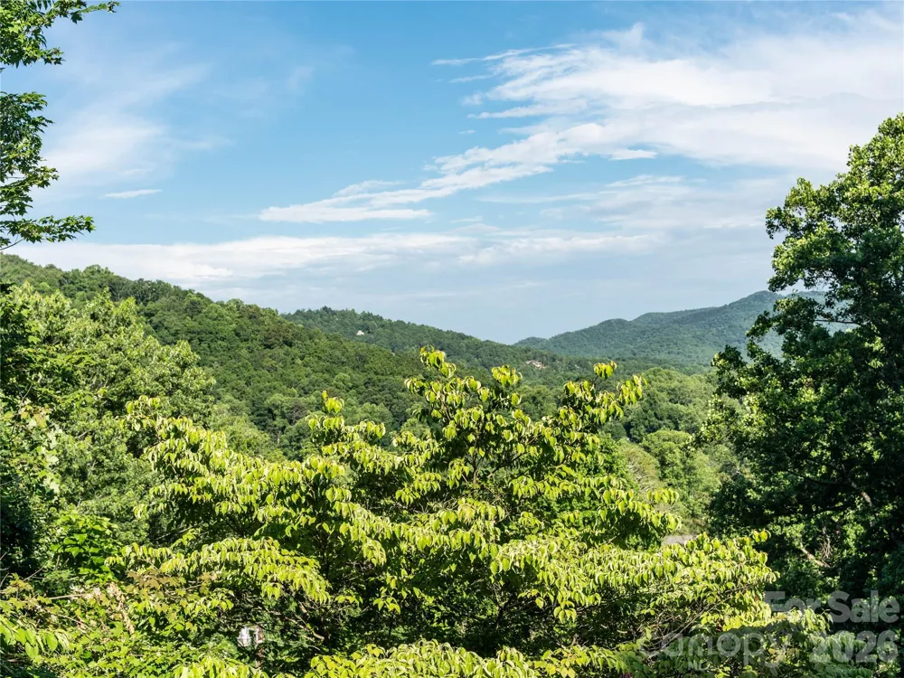 45 Mountain View Avenue Black Mountain, NC 28711