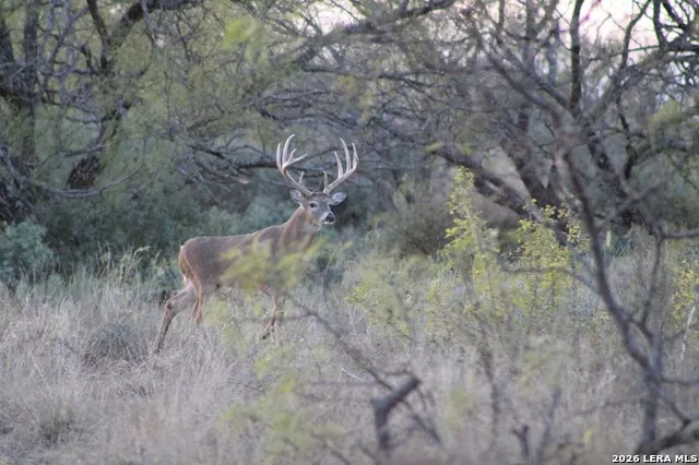 115 Open Country Brady, TX 76825