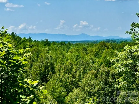 10 acres, Lot 528, Scenic Vista Trail #528