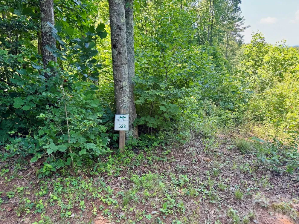 10 acres, Lot 528, Scenic Vista Trail #528 Lenoir, NC 28645