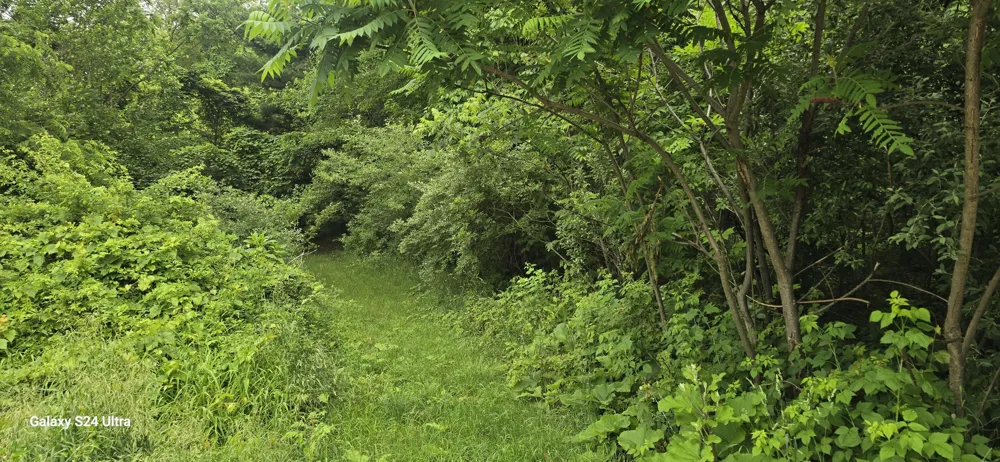 Lakefront Drive Delton, MI 49046