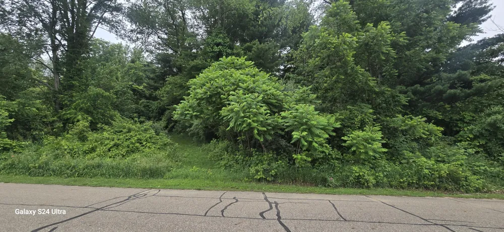 Lakefront Drive Delton, MI 49046