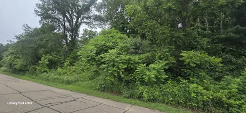 Lakefront Drive